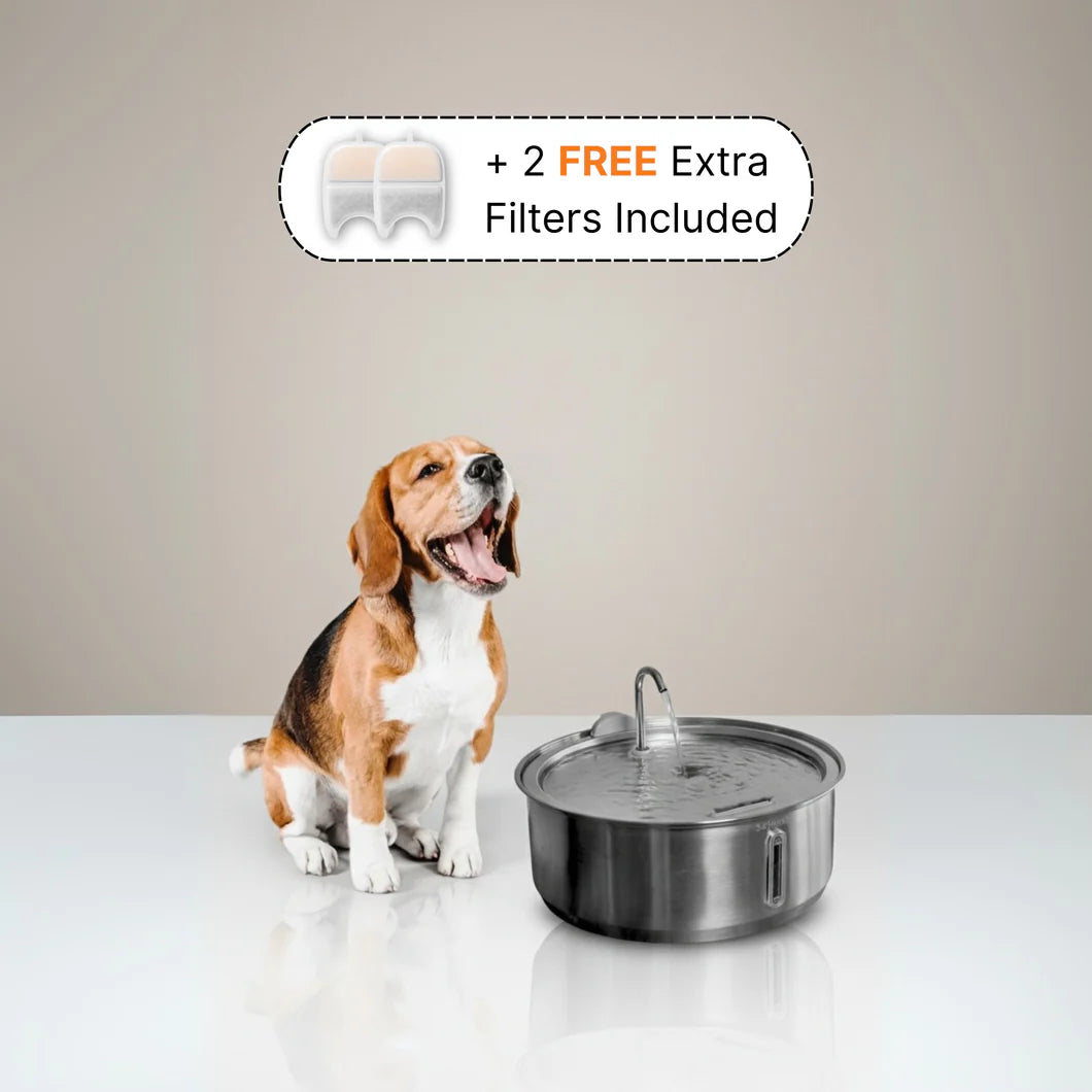 The PurePaw™ Hydration Fountain