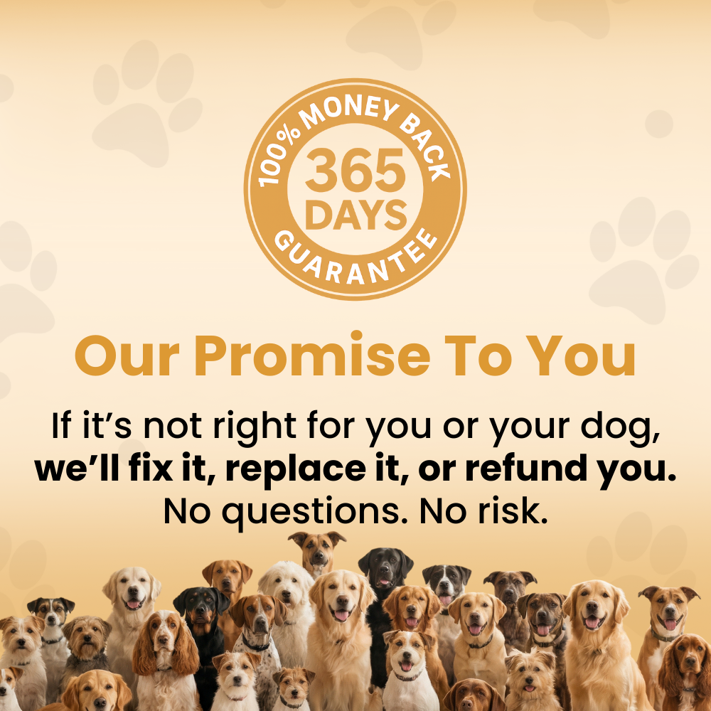 The PurePaw™ Hydration Fountain