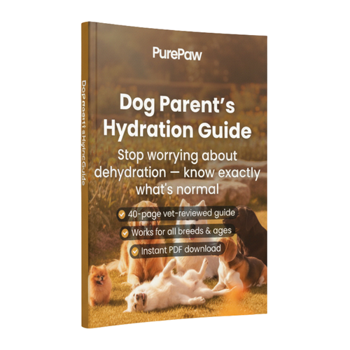 PurePaw™ Dog Parent’s Hydration Guide