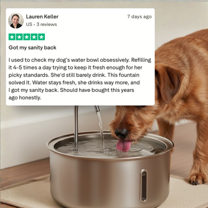 The PurePaw™ Hydration Fountain