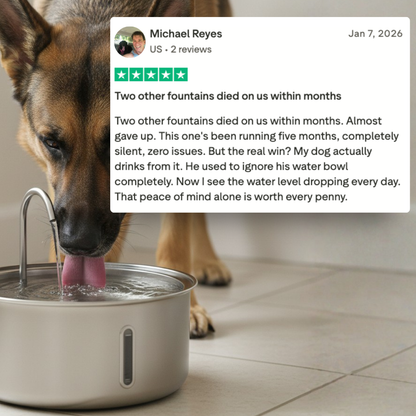 The PurePaw™ Hydration Fountain