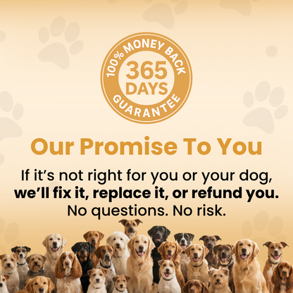 The PurePaw™ Hydration Fountain