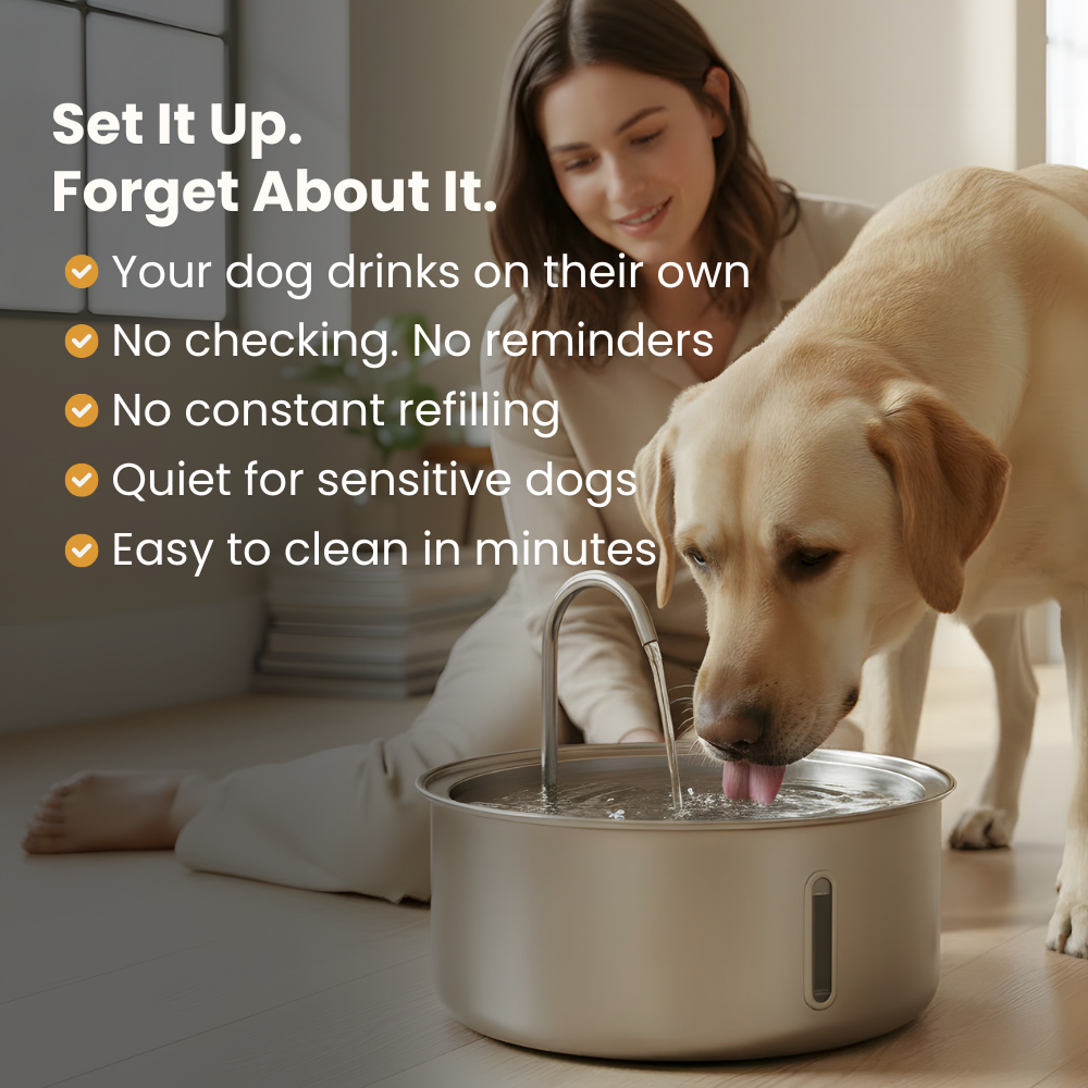 The PurePaw™ Hydration Fountain