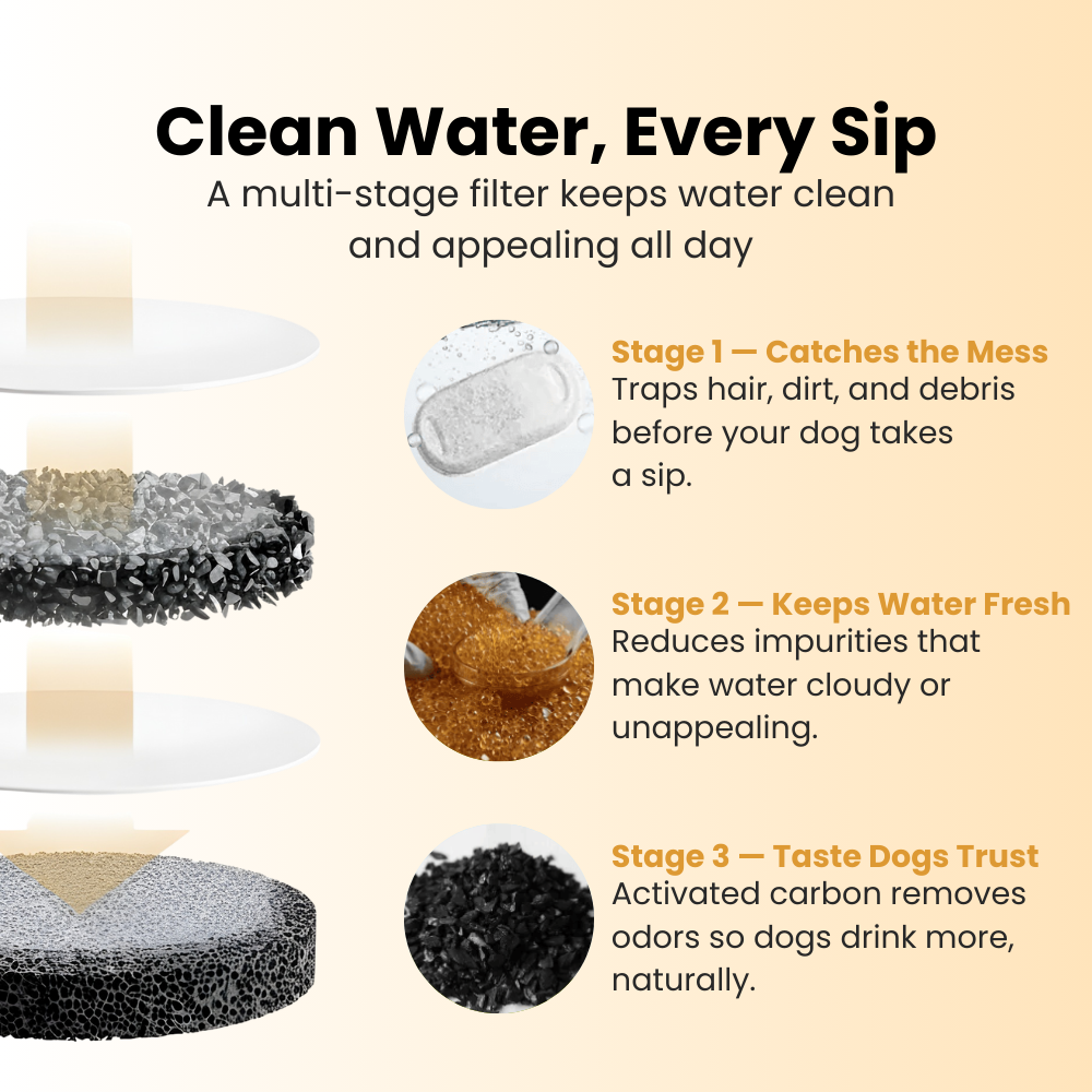 The PurePaw™ Hydration Fountain