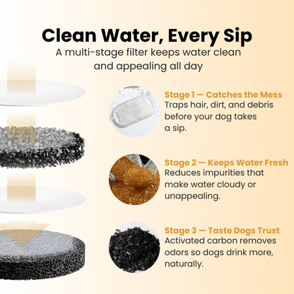 The PurePaw™ Hydration Fountain