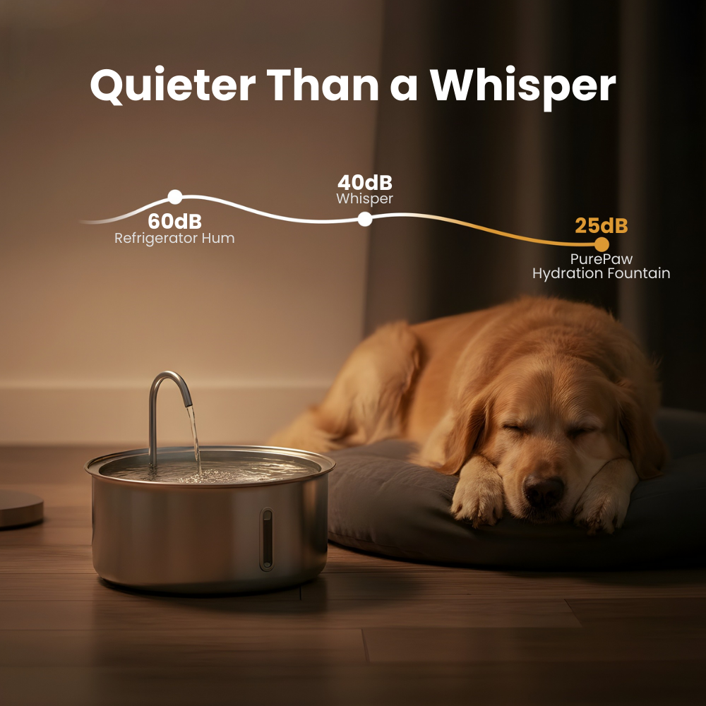 The PurePaw™ Hydration Fountain