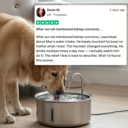 The PurePaw™ Hydration Fountain